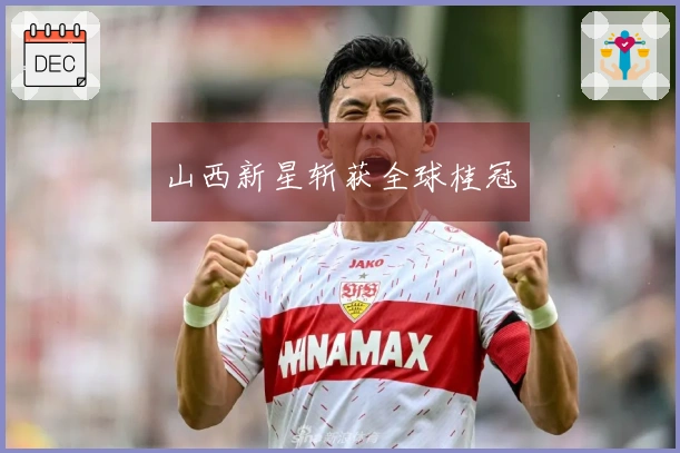 山西新星斩获全球桂冠